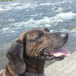 流木アレンジ♡