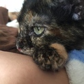 募集