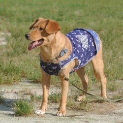 幸せ太り・・・別名、ダイエット失敗！