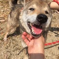 可愛い笑顔、人が大好き、とても良い子！