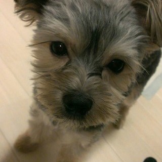 人懐っこい1歳の男の子