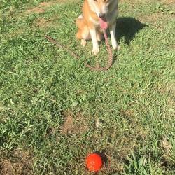 あの～、忙しいんですけど・・・