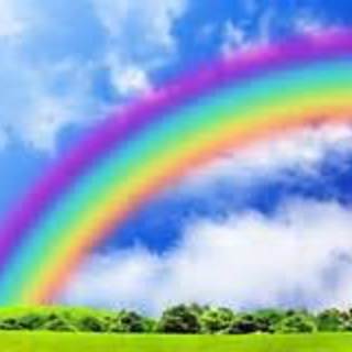 癒し系家族 優しい心のウサギさん☆(#^▽^#)