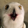カナスケ。