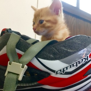 無事送り出しました！ありがとうございました