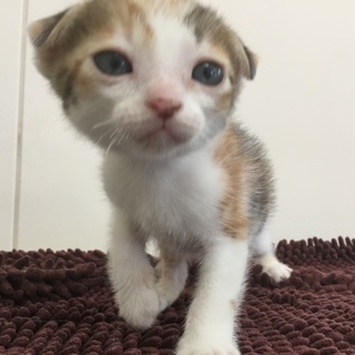 たくさんのご応募感謝です！送り出しました！