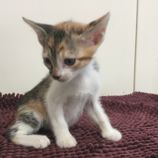 無事送り出しました！沢山の応募感謝です！