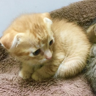 無事送り出しました！沢山のご応募感謝です！