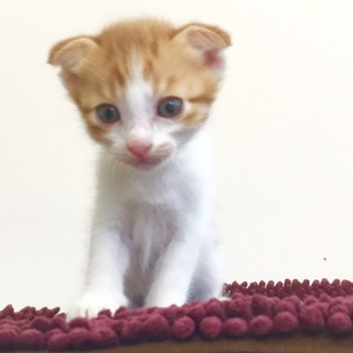 本当にたくさんのご応募ありがとうございました！