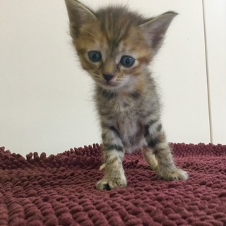 たくさんのご応募、ありがとうございました！