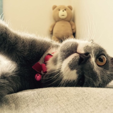 ごろごろ