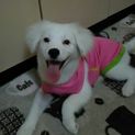 可愛がって頂ける方どうぞ宜しくお願いします。
