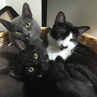 ちろる&ぐれる&のりいち