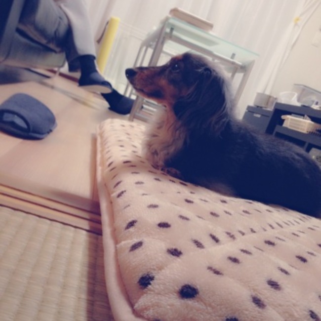 ちはまるのカバー写真