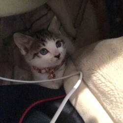 一週間が立ちました