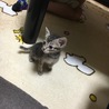 の写真