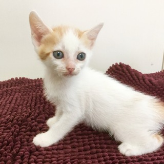 無事引き取られました！ありがとうございました