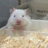 ＊りっく＊