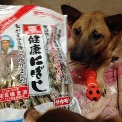 あたちの健康にぼしでちゅ