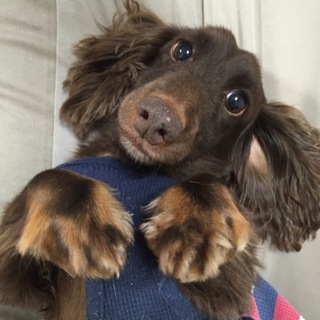 交渉中です。募集一時停止します。