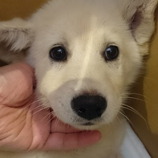 太郎のずっとの家族募集中