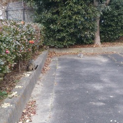 「後悔・・・」サムネイル2