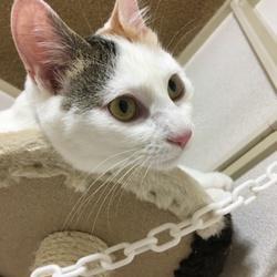 すっかりと元気です