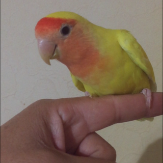 沢山のご応募有難うございました