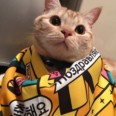 瓈央の写真