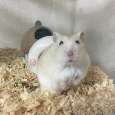 の写真