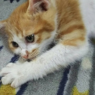 「わたも君」男の子☆1ヶ月半