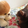 ロワくんママ