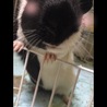 ボーちゃん