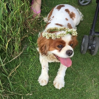 良縁に恵まれました☆