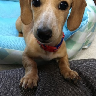 この度は沢山のご応募有難うございました。