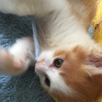 むさし