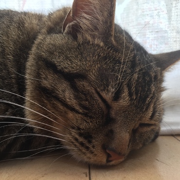 zzzz2016.6.5