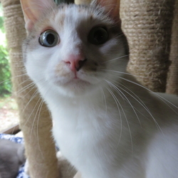 独り占めしないでちょうだい～