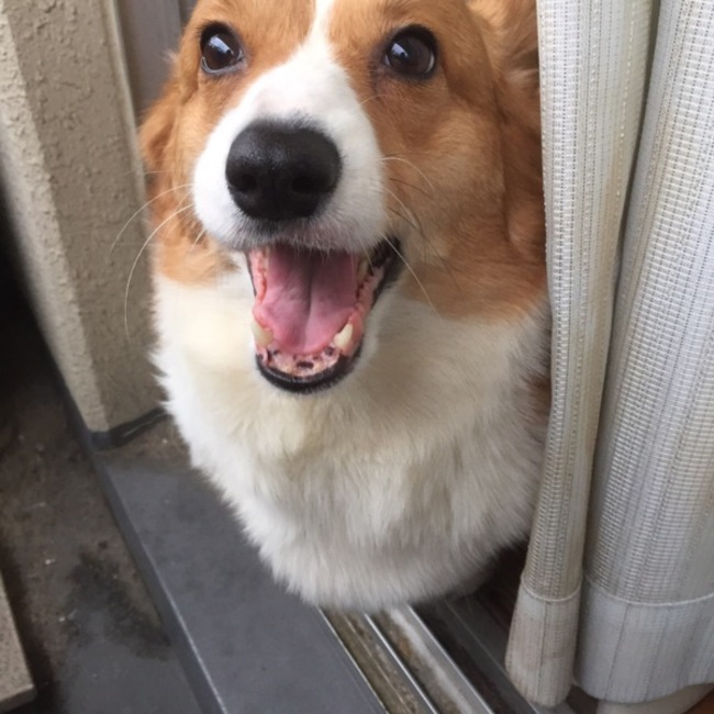 てんぽんのカバー写真
