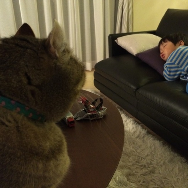 べたちびこのカバー写真