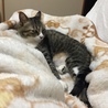 たまに悪ーい顔になります。（笑）