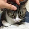 膝の上で甘えてくれます。