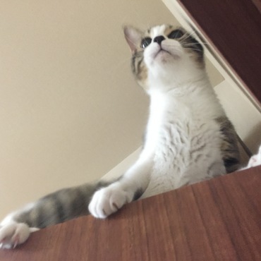 ものすごいやんちゃ坊主です。（笑）