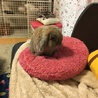 hiro-ne