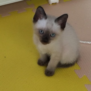只今交渉中です！