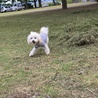 自転車で遠出っ(•ॢ◡-ॢ) よく走ったねっ(•ॢ◡-ॢ)