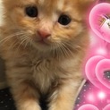 ありがとうございましたm(__)m