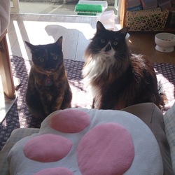 しばし休憩、なーむー。