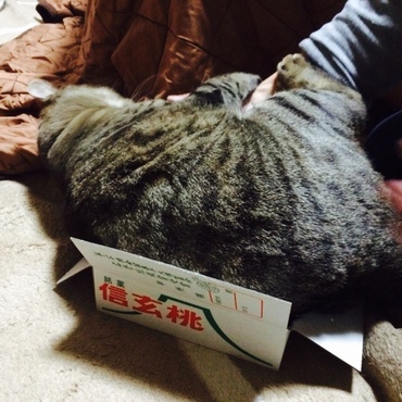 もう入れない。