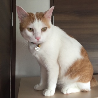 活発な女の子 みりんちゃん